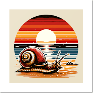 Snail on a beach during sunset Posters and Art